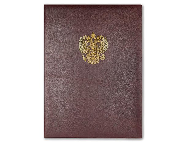 Папка бордовая из кожи