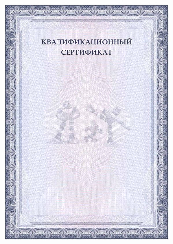 Квалификационный сертификат робототехника